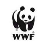  WWF